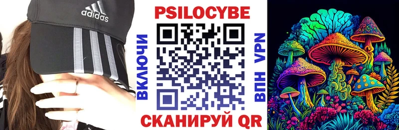 мега как зайти  Бугульма  Галлюциногенные грибы Psilocybine cubensis 