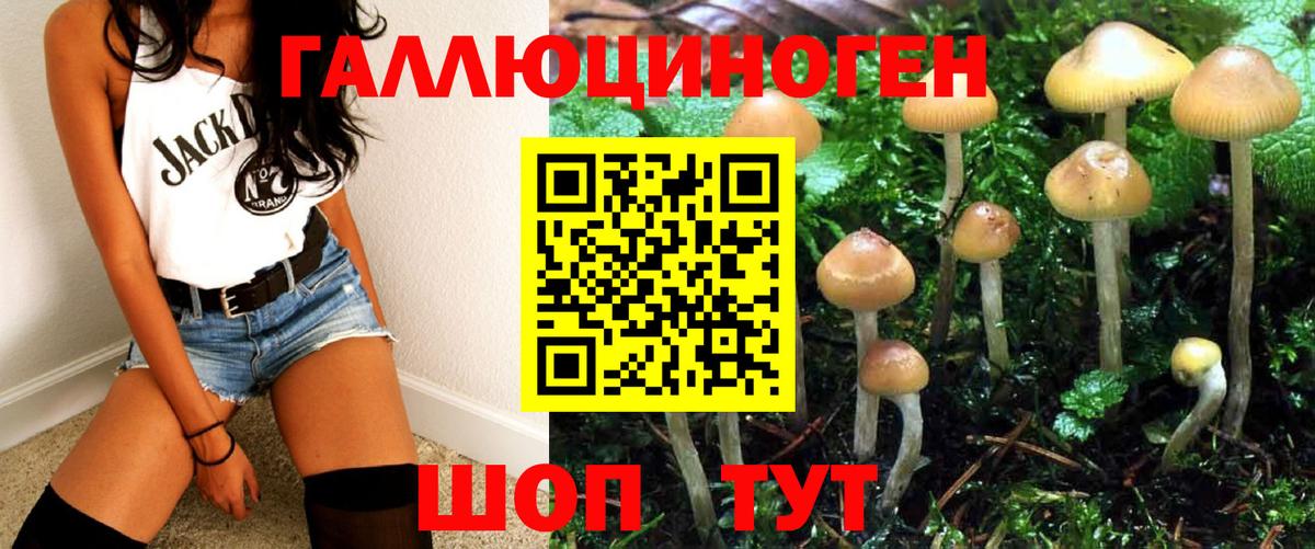 Псилоцибиновые грибы Magic Shrooms  купить наркотик  Псилоцибиновые грибы Cubensis  Бугульма 